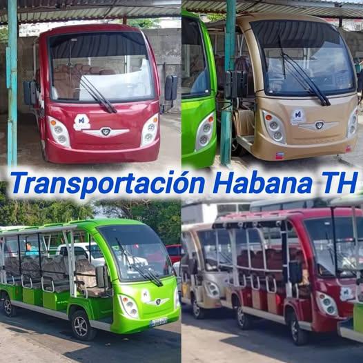 Buses eléctricos