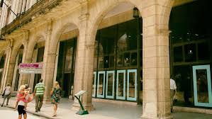 El Museo de Historia Natural convida a un verano de aprendizaje y recreación