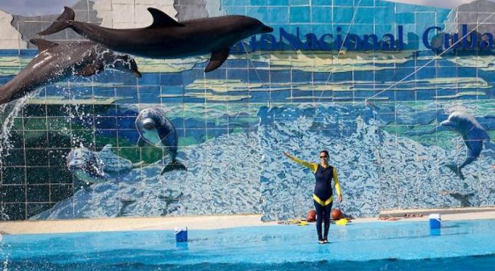 Acuario Nacional de Cuba abre sus puertas al verano