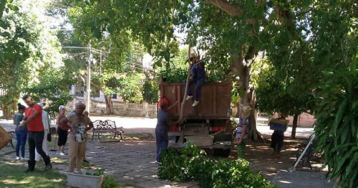 Trabajo voluntario en parque de H y 21, en el Vedado