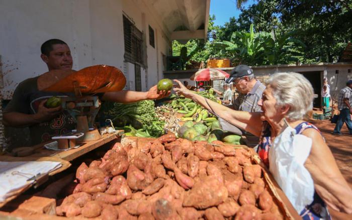 Gobierno de La Habana cambia precios de productos agropecuarios