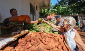 Gobierno de La Habana cambia precios de productos agropecuarios
