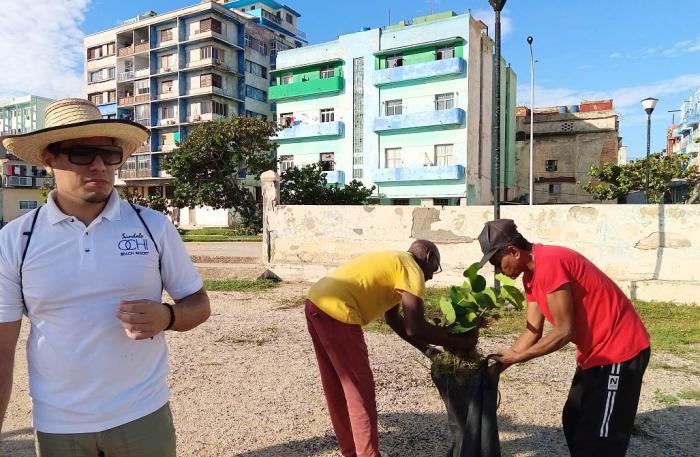 Trabajadores de la cultura en la capital se suman a las labores de higienización