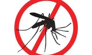 No al mosquito