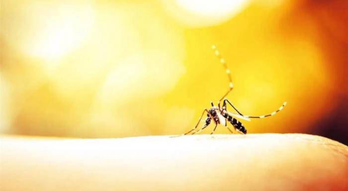 Recomiendan uso prudente de antiinflamatorios no esteroides en chikungunya