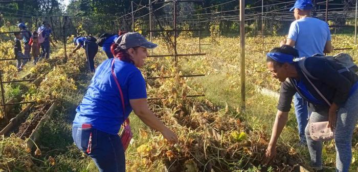 Trabajo voluntario en El Cotorro