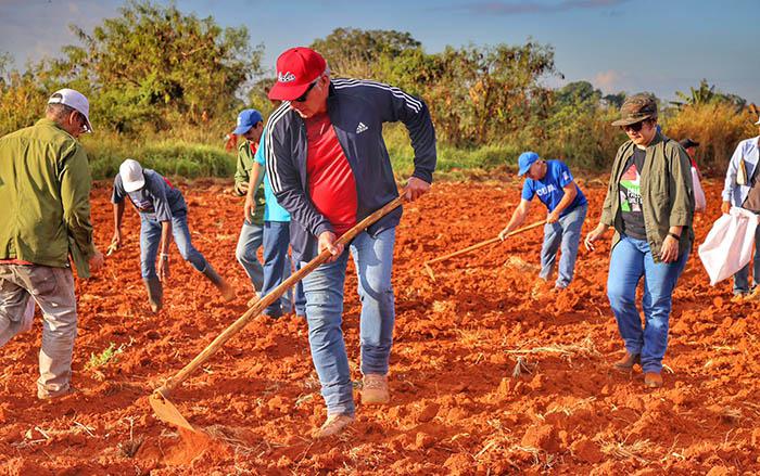 Díaz-Canel en jornada de trabajo voluntario en Artemisa
