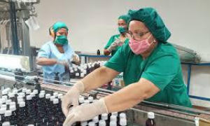 Inician fabricación industrial de repelente natural e hipoclorito