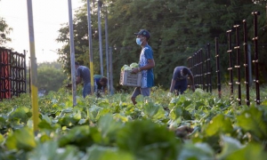 Jornada de trabajo voluntario 