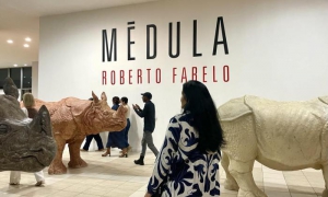 “Cada obra es como un tatuaje que alude a la memoria y a la historia del país”, declaró sobre la muestra Fernández Torres, en exclusiva para Tribuna de La Habana.