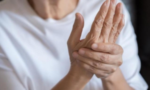 Explican secuelas articulares tras infección por chikungunya