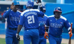 Leones de industriales