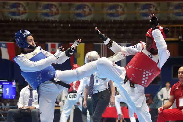 Un total de diez medallas cosecharon los jóvenes taekwondokas de la capital.