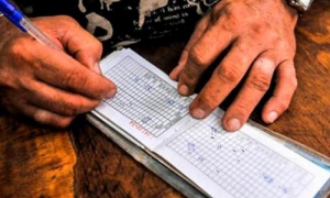 Canasta familiar normada