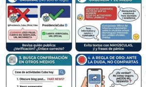 Consejos en redes: 4 consejos para evitar noticias falsas.