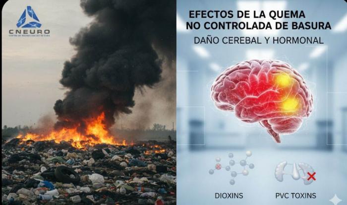 Efectos nocivos de la quema de basura no controlada
