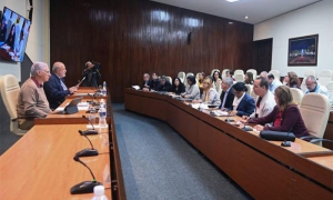 Informan avances en candidatos a vacunas antineumocócicas