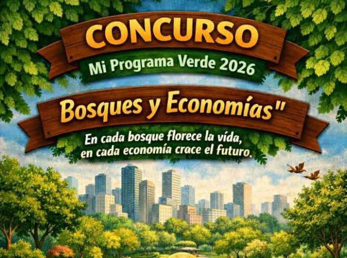 Concurso promueve importancia de los bosques