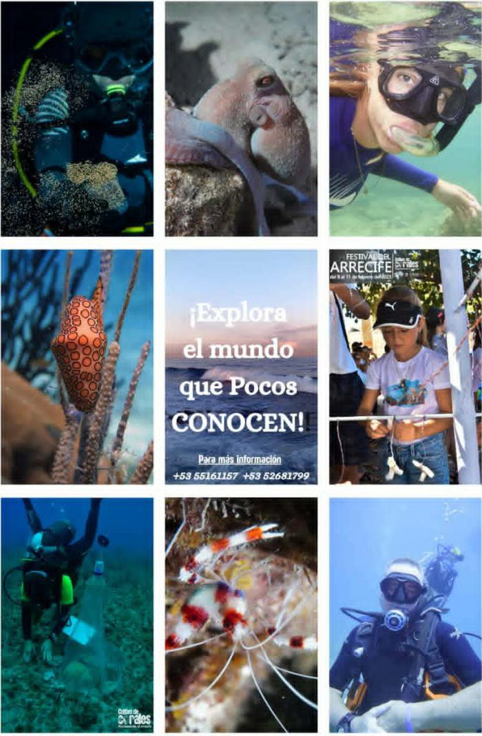 Cartel del Acuario Nacional sobre Club de buceo
