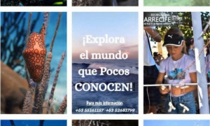 Cartel del Acuario Nacional sobre Club de buceo