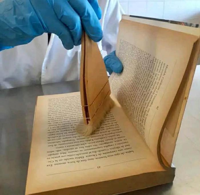 Reparación y conservación de libros y documentos