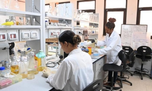 Jusvinza, medicamento eficaz para tratamiento de chikungunya