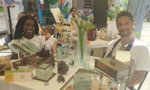 Proyecto Vidrio vivo