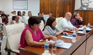 El Pleno fue presidido por los integrantes del Comité Central Marydé Fernández López, jefa de Oficina de Atención a la UJC y las organizaciones de masas; y Gerardo Hernández Nordelo, coordinador nacional de los CDR.