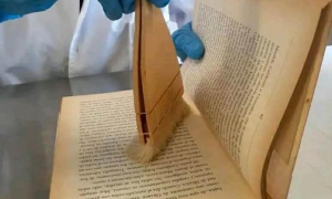 Reparación y conservación de libros y documentos