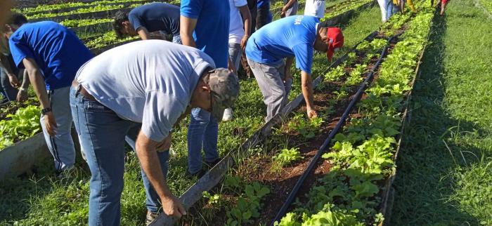 Jornada de trabajo voluntario en La Habana