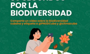 Cartel del concurso por la biodiversidad cubana