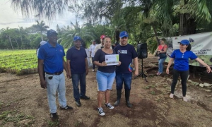 Fueron reconocidos el organopónico del Cerro, la empresa Frutas Selectas y el orhanoponico Plaza.