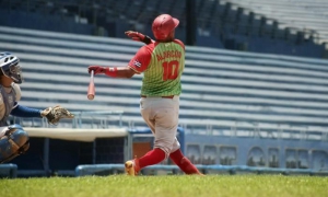 IV Liga Élite del Béisbol Cubano