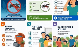 Alertan sobre la presencia de arbovirosis en Cuba y llaman a la prevención