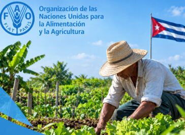 Cuba lanza sus propuestas para fortalecer los sistemas alimentarios locales y de protección social. Foto: Imagen generada con asistencia de IA
